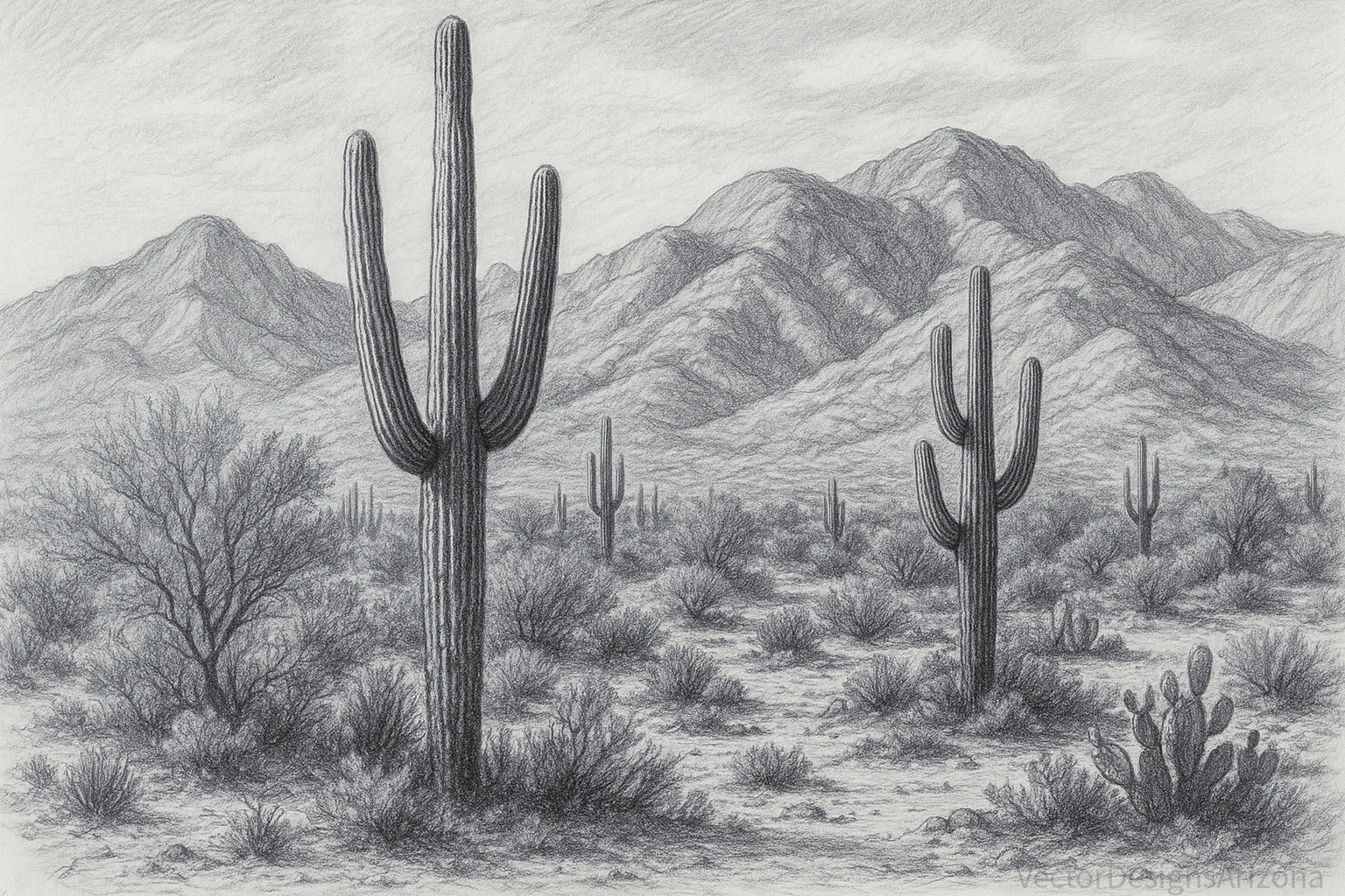 Southern Arizona desert backdrop for VectorDesignsArizona collection