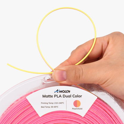 Amolen Matte Dual PLA – 3D printed sample showing dual-color layer separation