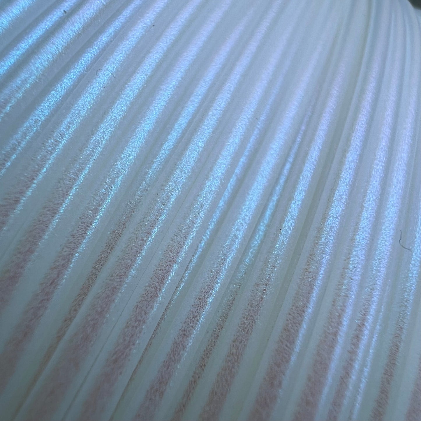 Cookiecad Blue Pearl PLA filament close-up – pearlescent blue surface detail
