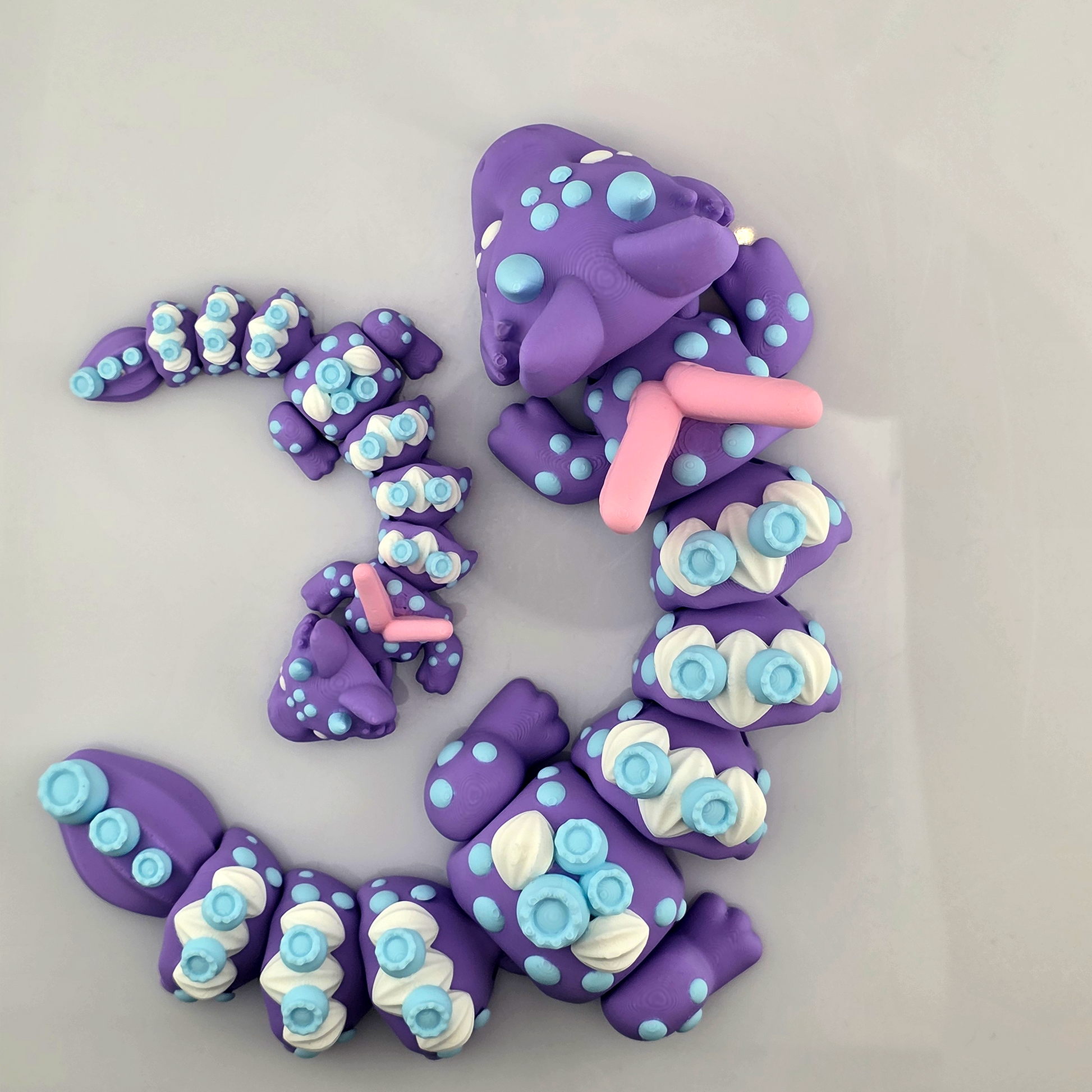 Top view of matching large and mini Blueberry Dragon 3D printed flexi fidgets arranged in a curve on a white surface.