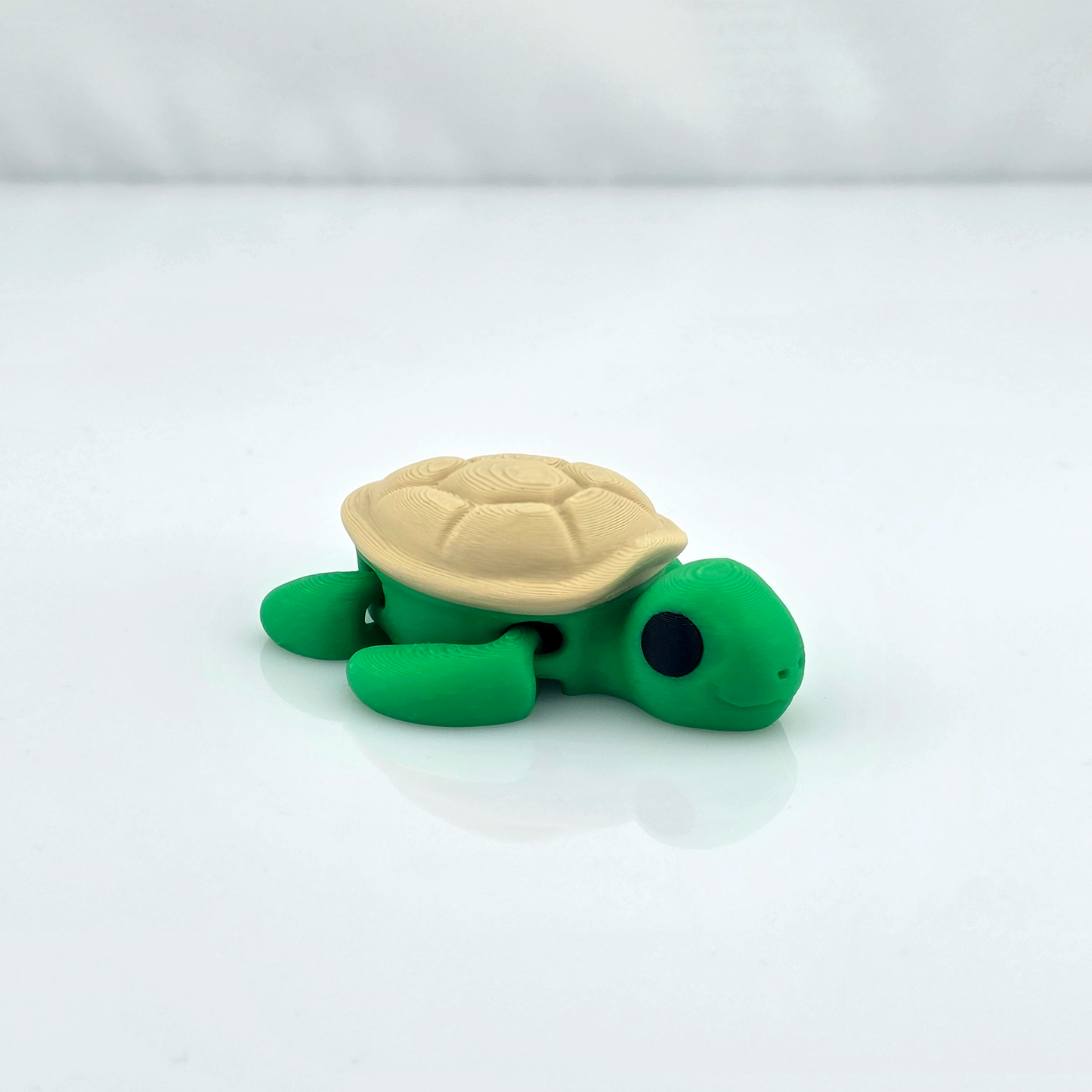 Green mini flexy turtle toy with cream shell on glossy white background.